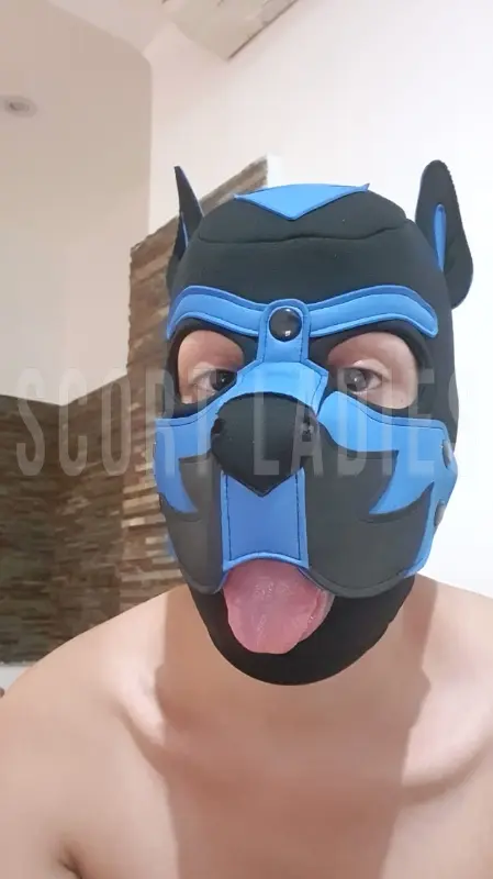 Escort masculino, activo y pasivo. Venta de contenido 
